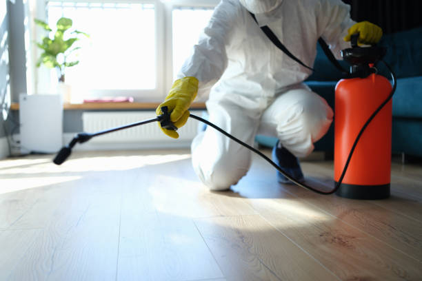 Reliable Sewage Cleanup contractor in Fox Island, WA by Trauma Clean Pros